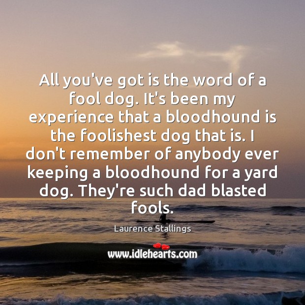 All you’ve got is the word of a fool dog. It’s been Laurence Stallings Picture Quote