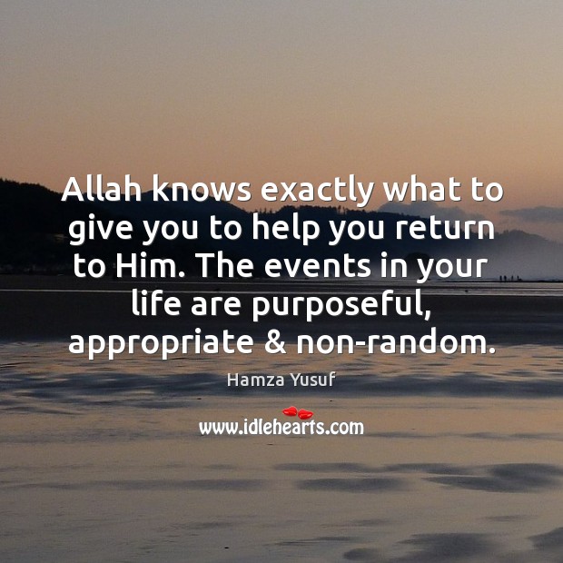 Allah knows exactly what to give you to help you return to Hamza Yusuf Picture Quote