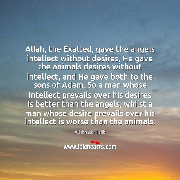 Allah, the Exalted, gave the angels intellect without desires, He gave the Ali Ibn Abi Talib Picture Quote