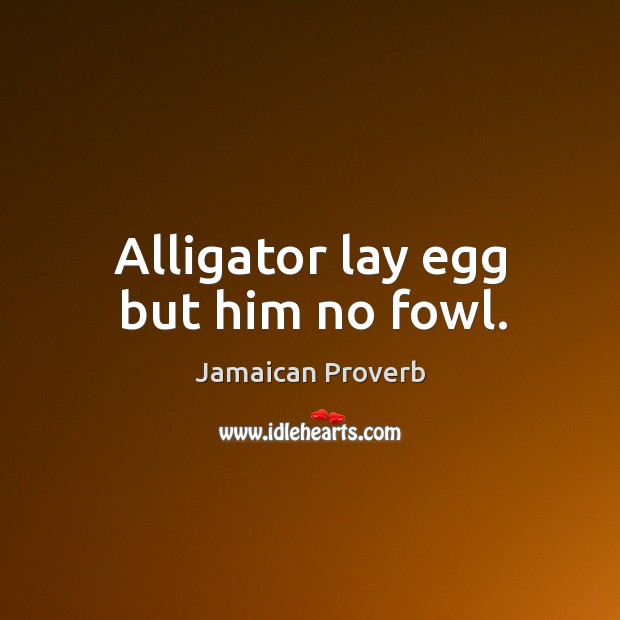 Alligator lay egg but him no fowl. Jamaican Proverbs Image