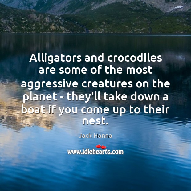 Alligators and crocodiles are some of the most aggressive creatures on the Jack Hanna Picture Quote