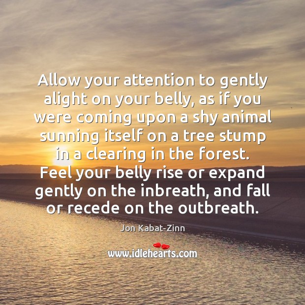 Allow your attention to gently alight on your belly, as if you Jon Kabat-Zinn Picture Quote