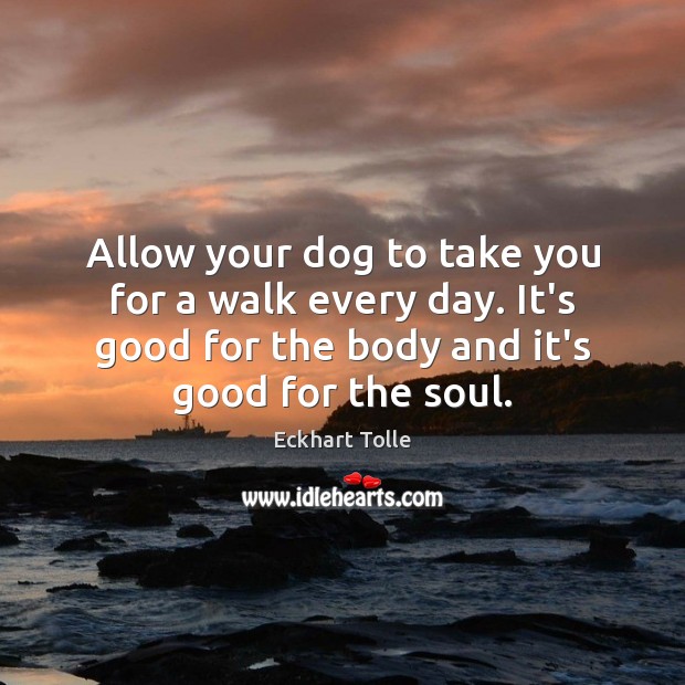 Allow your dog to take you for a walk every day. It’s Eckhart Tolle Picture Quote