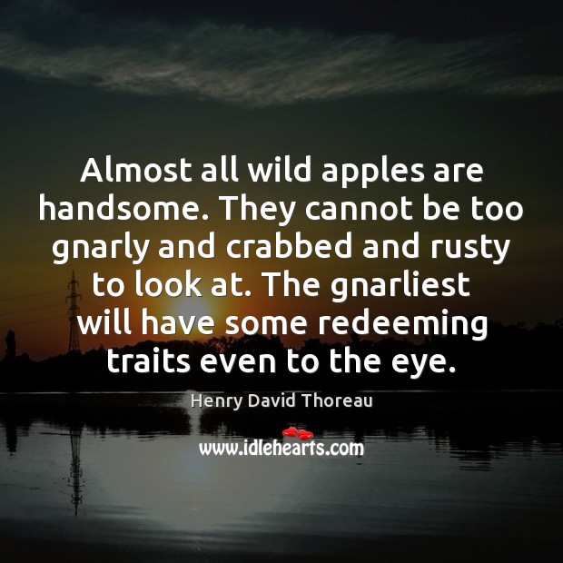 Almost all wild apples are handsome. They cannot be too gnarly and 