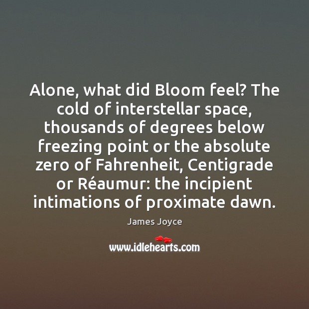 Alone, what did Bloom feel? The cold of interstellar space, thousands of James Joyce Picture Quote