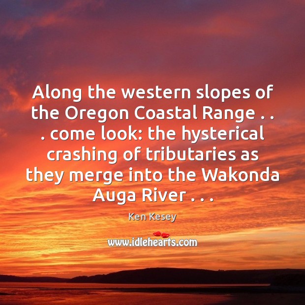 Along the western slopes of the Oregon Coastal Range . . . come look: the Image