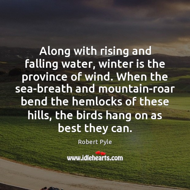 Along with rising and falling water, winter is the province of wind. Robert Pyle Picture Quote