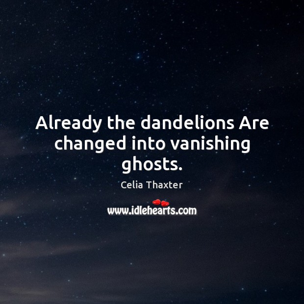 Already the dandelions Are changed into vanishing ghosts. Celia Thaxter Picture Quote