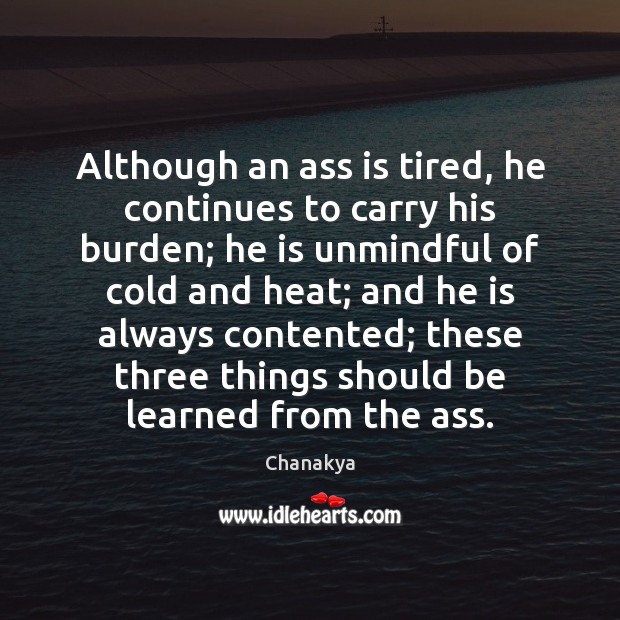 Although an ass is tired, he continues to carry his burden; he Chanakya Picture Quote