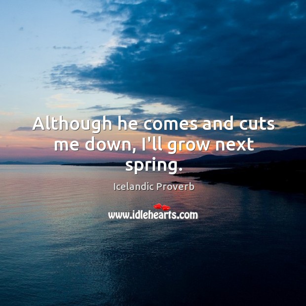 Although he comes and cuts me down, I’ll grow next spring. Icelandic Proverbs Image