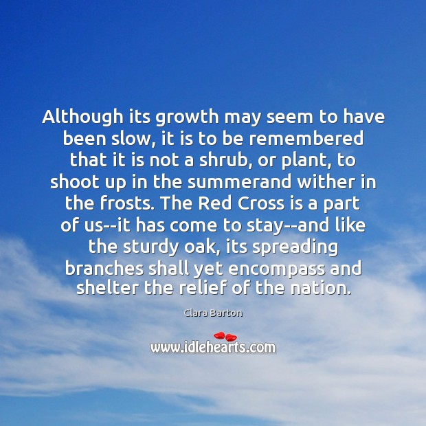 Although its growth may seem to have been slow, it is to Growth Quotes Image