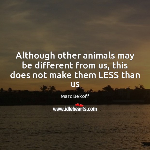Although other animals may be different from us, this does not make them LESS than us Marc Bekoff Picture Quote
