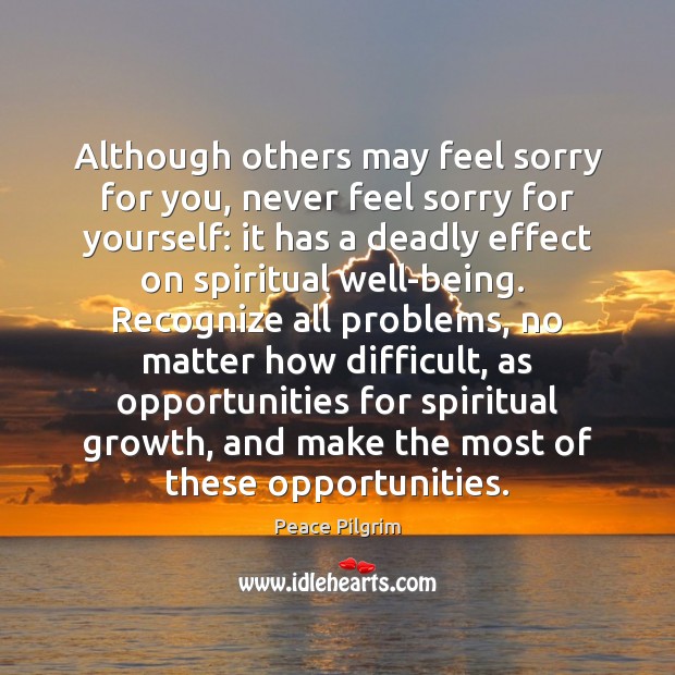 Although others may feel sorry for you, never feel sorry for yourself: Peace Pilgrim Picture Quote