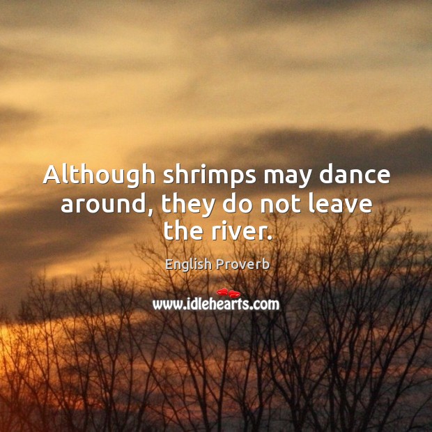 Although shrimps may dance around, they do not leave the river. Image