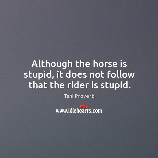 Although the horse is stupid, it does not follow that the rider is stupid. Tshi Proverbs Image