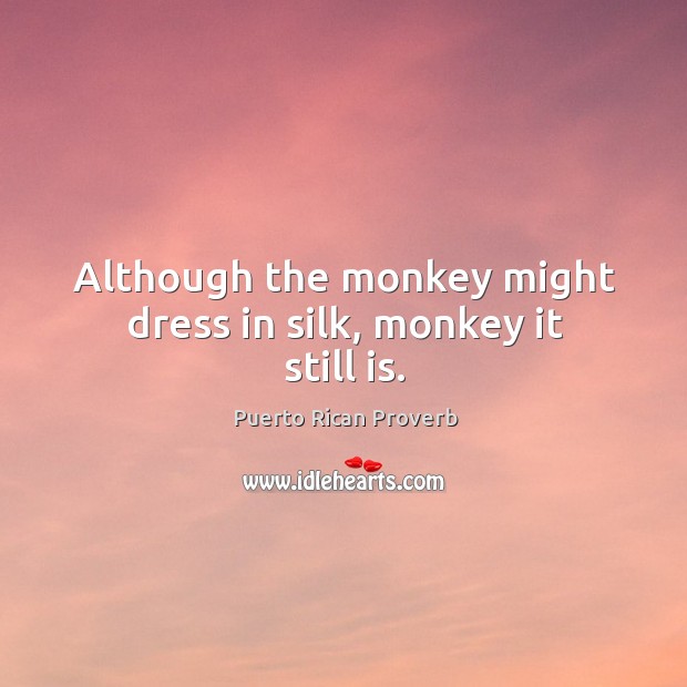Although the monkey might dress in silk, monkey it still is. Puerto Rican Proverbs Image