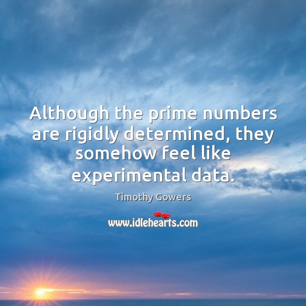 Although the prime numbers are rigidly determined, they somehow feel like experimental Timothy Gowers Picture Quote