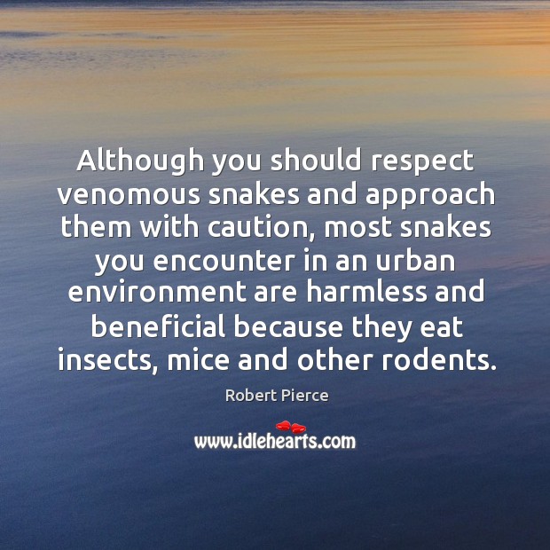 Although you should respect venomous snakes and approach them with caution, most Robert Pierce Picture Quote
