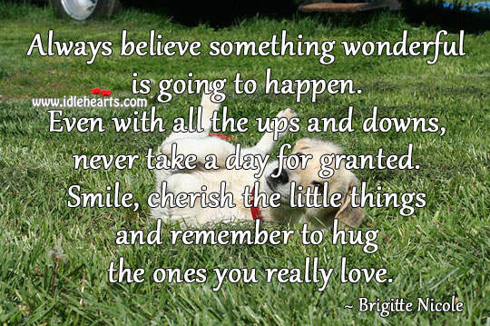 Smile, cherish the little things and remember to hug the ones you really love. Brigitte Nicole Picture Quote