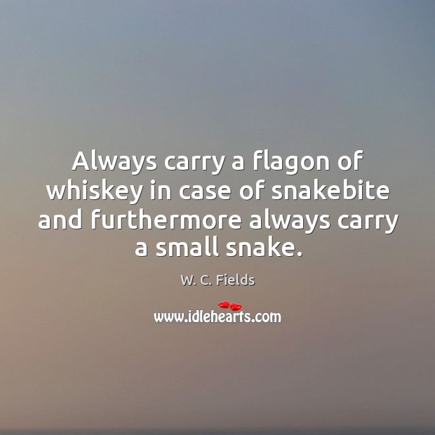 Always carry a flagon of whiskey in case of snakebite and furthermore always carry a small snake. Image