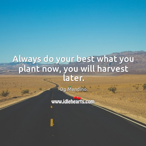 Always do your best what you plant now, you will harvest later. Og Mandino Picture Quote