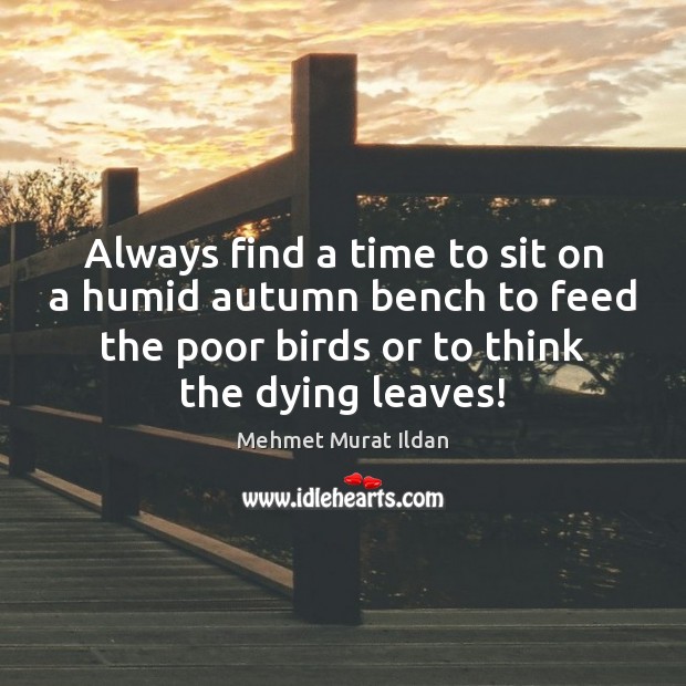 Always find a time to sit on a humid autumn bench to Mehmet Murat Ildan Picture Quote
