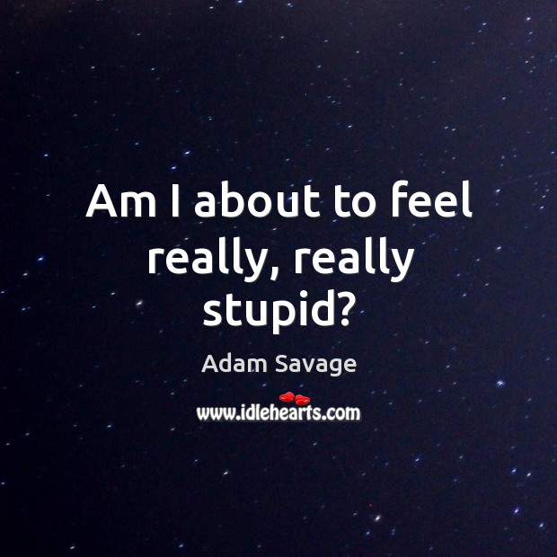 Am I about to feel really, really stupid? Adam Savage Picture Quote