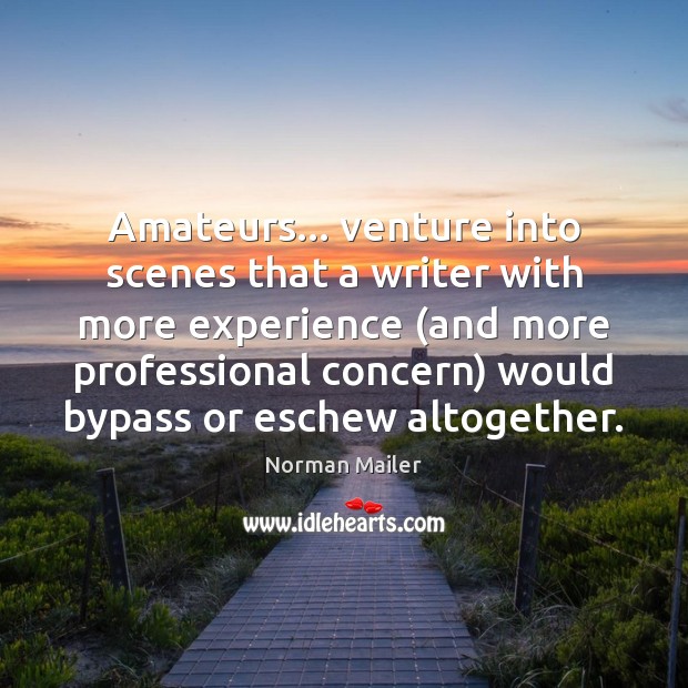 Amateurs… venture into scenes that a writer with more experience (and more Norman Mailer Picture Quote