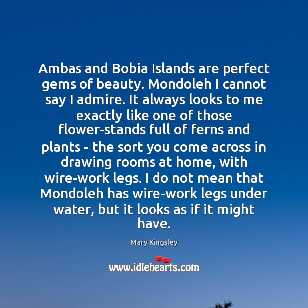 Ambas and Bobia Islands are perfect gems of beauty. Mondoleh I cannot Mary Kingsley Picture Quote