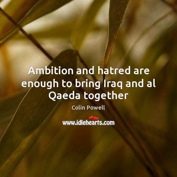 Ambition and hatred are enough to bring Iraq and al Qaeda together Image