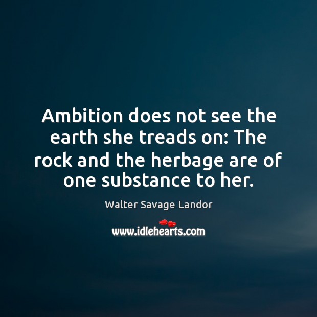 Ambition does not see the earth she treads on: The rock and Walter Savage Landor Picture Quote