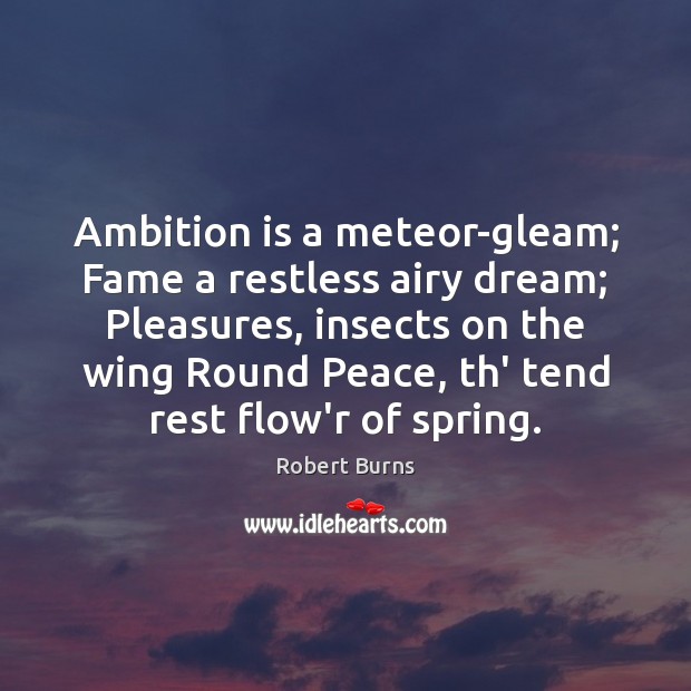 Ambition is a meteor-gleam; Fame a restless airy dream; Pleasures, insects on Robert Burns Picture Quote