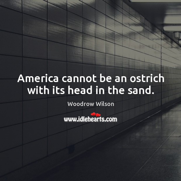 America cannot be an ostrich with its head in the sand. Woodrow Wilson Picture Quote