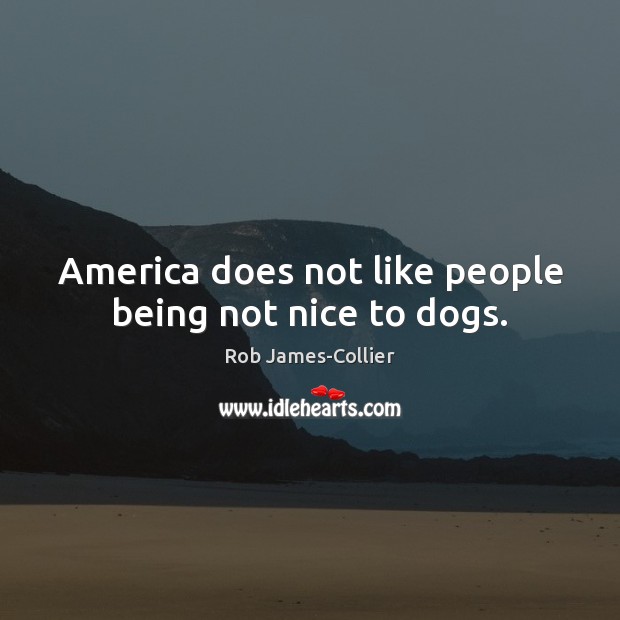 America does not like people being not nice to dogs. Rob James-Collier Picture Quote