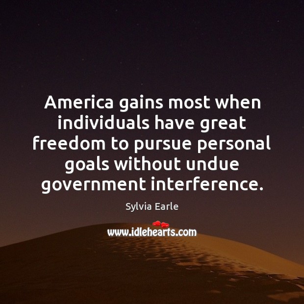 America gains most when individuals have great freedom to pursue personal goals Image