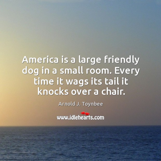 America is a large friendly dog in a small room. Every time it wags its tail it knocks over a chair. Arnold J. Toynbee Picture Quote