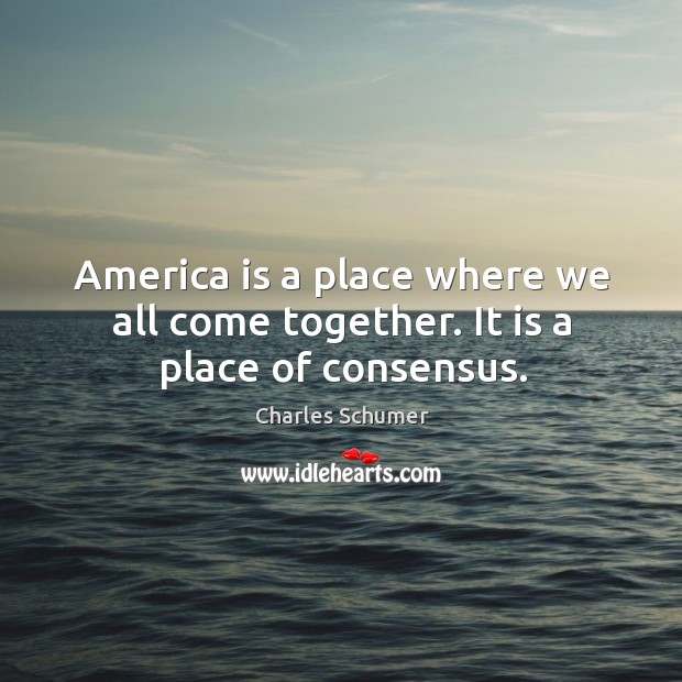 America is a place where we all come together. It is a place of consensus. Charles Schumer Picture Quote