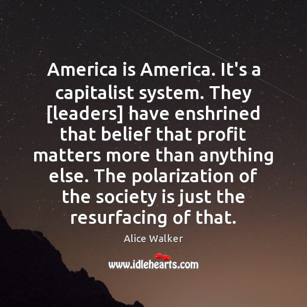 America is America. It’s a capitalist system. They [leaders] have enshrined that Alice Walker Picture Quote