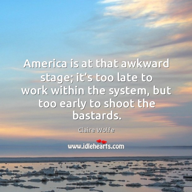 America is at that awkward stage; it’s too late to work within the system, but too early to shoot the bastards. Claire Wolfe Picture Quote