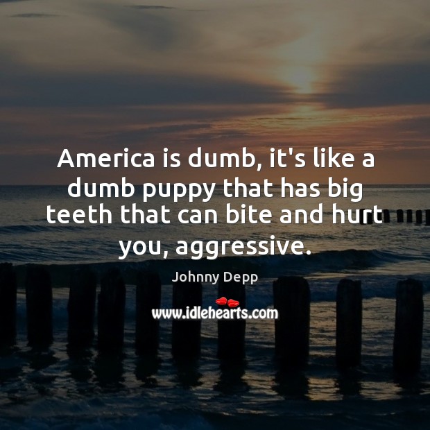 America is dumb, it’s like a dumb puppy that has big teeth Johnny Depp Picture Quote