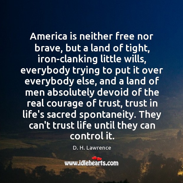 America is neither free nor brave, but a land of tight, iron-clanking D. H. Lawrence Picture Quote
