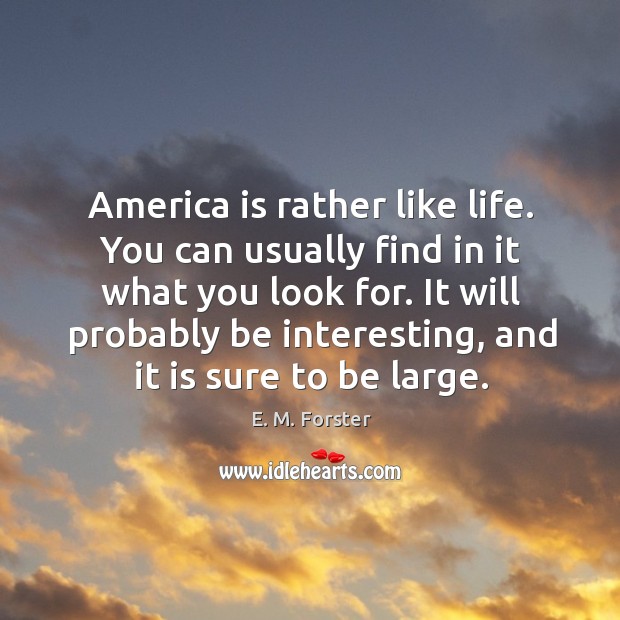 America is rather like life. You can usually find in it what you look for. E. M. Forster Picture Quote