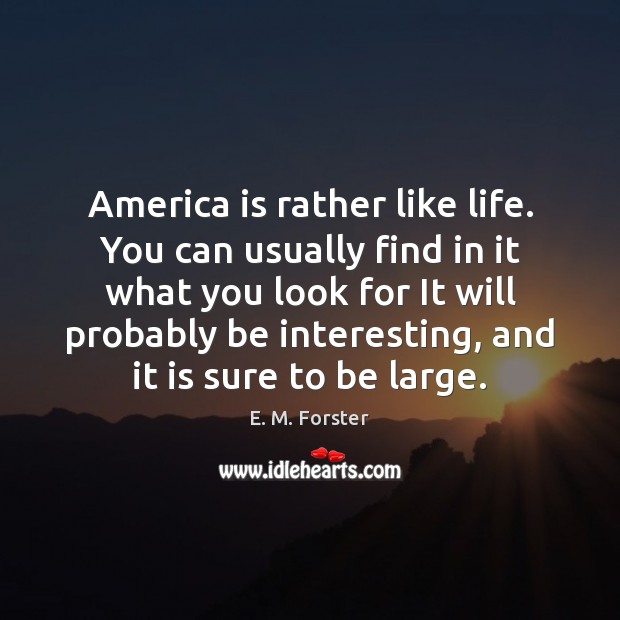 America is rather like life. You can usually find in it what E. M. Forster Picture Quote