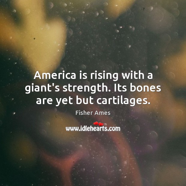 America is rising with a giant’s strength. Its bones are yet but cartilages. Fisher Ames Picture Quote