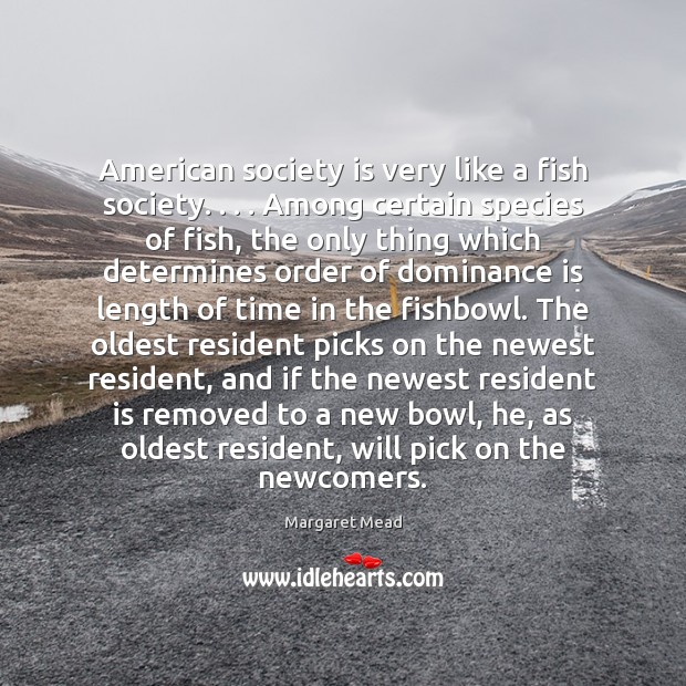 American society is very like a fish society. . . . Among certain species of Margaret Mead Picture Quote