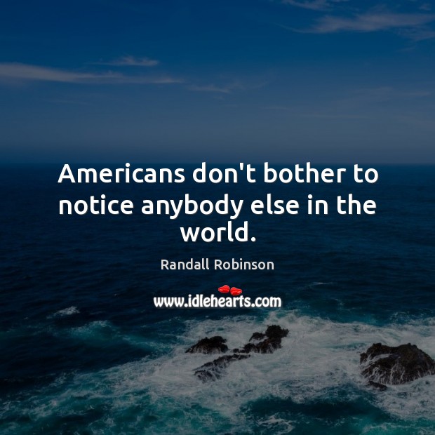 Americans don’t bother to notice anybody else in the world. Randall Robinson Picture Quote