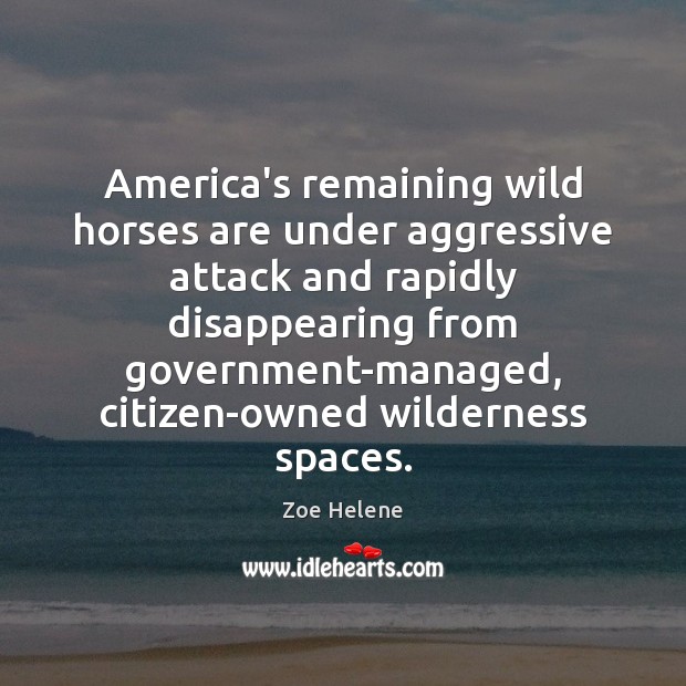 America’s remaining wild horses are under aggressive attack and rapidly disappearing from Zoe Helene Picture Quote