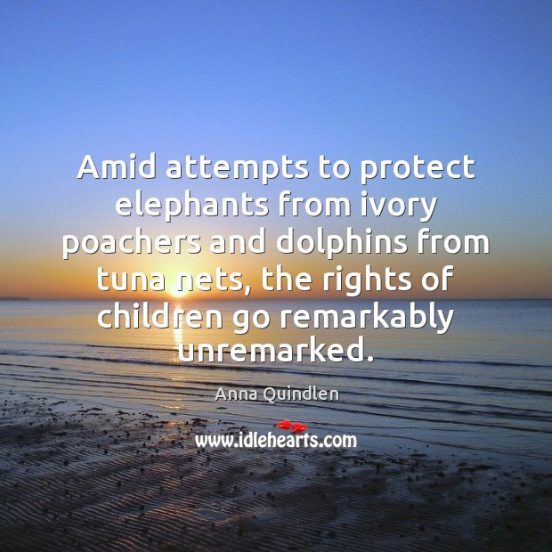Amid attempts to protect elephants from ivory poachers and dolphins from tuna Anna Quindlen Picture Quote