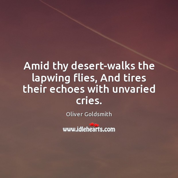 Amid thy desert-walks the lapwing flies, And tires their echoes with unvaried cries. Oliver Goldsmith Picture Quote