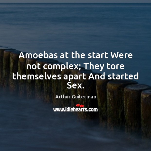 Amoebas at the start Were not complex; They tore themselves apart And started Sex. Image
